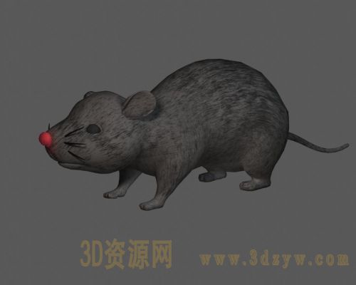 maya老鼠模型