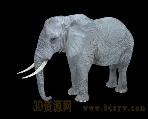 老大象模型