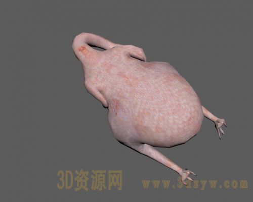 鸡3d模型  无毛鸡 裸鸡模型