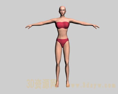 woman 女人体模型 人体裸模