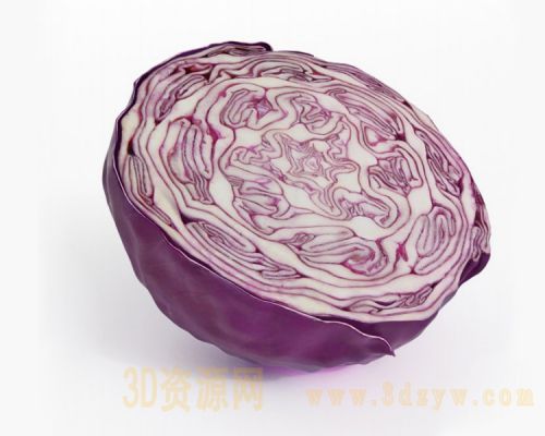 紫甘蓝模型 红甘蓝 紫包菜 蔬菜模型
