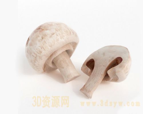 草菇模型 菌菇模型 香菇 蘑菇
