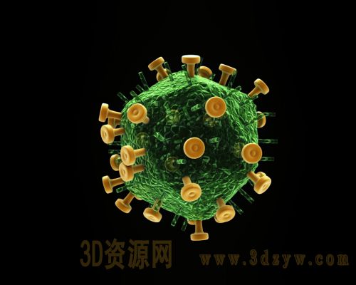 病毒模型 人体病毒3d模型