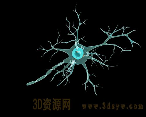 神经元突触结构图 神经元突触3d模型 神经细胞