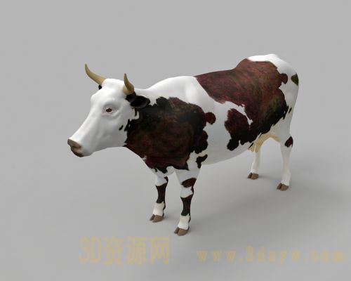 奶牛模型 cow