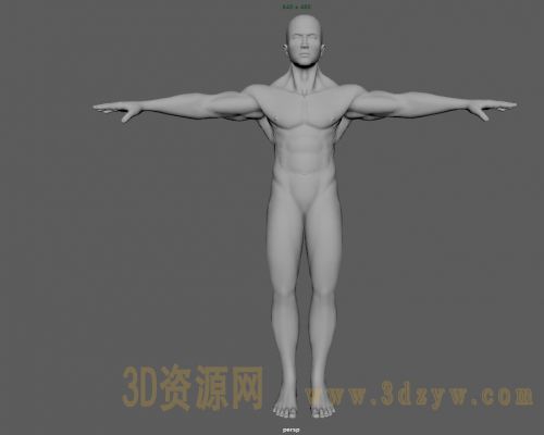 maya男人体模型