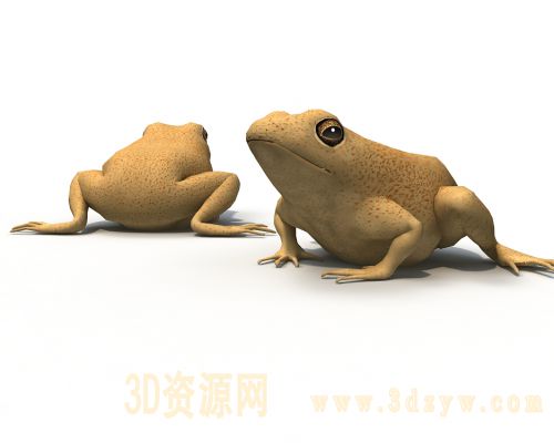 蟾蜍3d模型 青蛙 蛤蟆模型