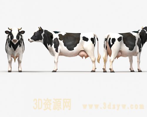 精细奶牛模型 cow
