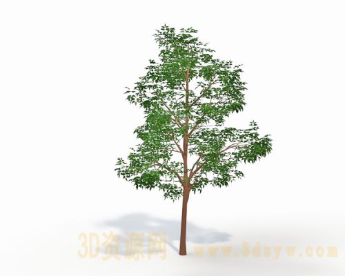 风景树 树3d模型