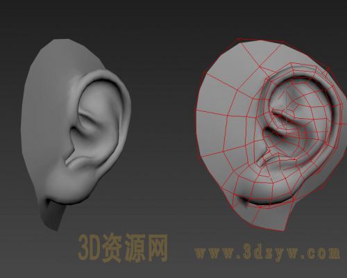 耳朵3d模型