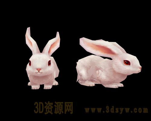 兔子模型 卡通兔子蹦跳动画
