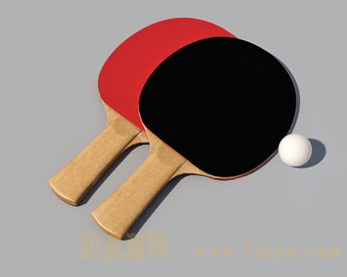 乒乓球拍3d模型 乒乓球模型