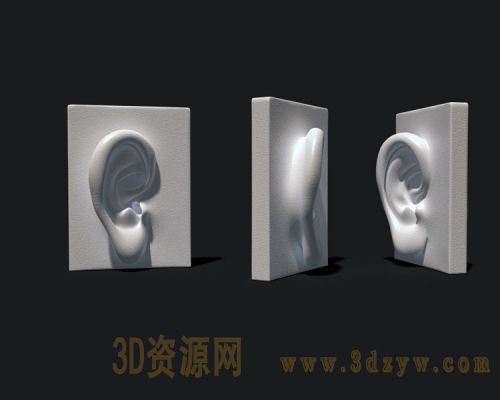 耳朵雕塑模型 耳朵3d模型 耳朵石膏像