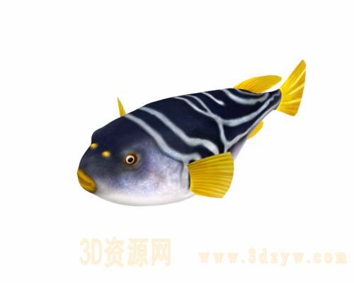 河豚鱼模型 刺豚 河鲀