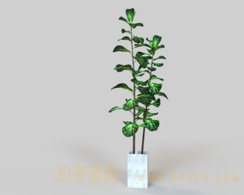 绿植植物模型 室内花盆盆栽