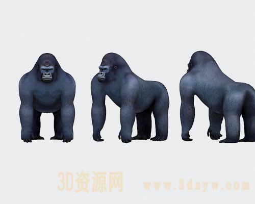 大猩猩模型 黑猩猩 猴子