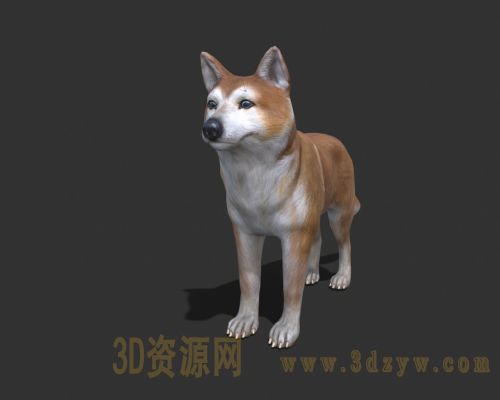 秋田犬模型 日本秋田犬