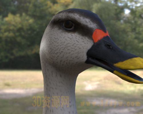 /Uploads/Images/2026-05-09/3dzyw_works_69fea9c98b401.jpg