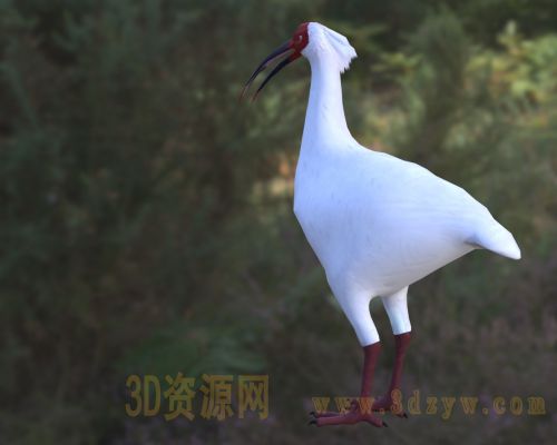 /Uploads/Images/2026-05-11/3dzyw_works_6a014d8510720.jpg