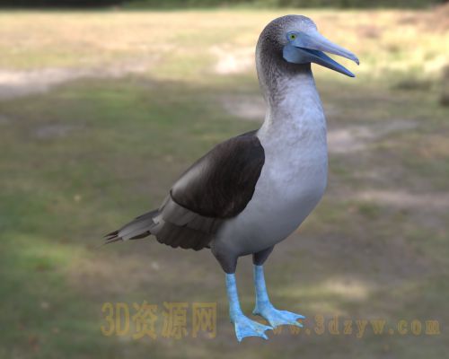/Uploads/Images/2026-05-11/3dzyw_works_6a018ee42b4bb.jpg