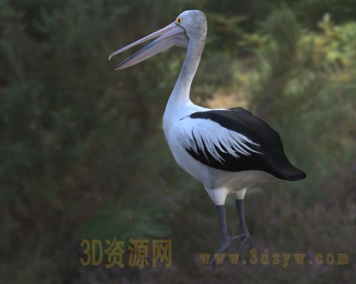 /Uploads/Images/2026-05-11/3dzyw_works_6a019e398b5ec.jpg