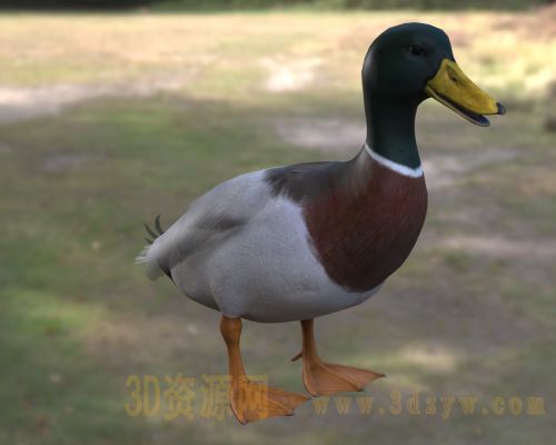 /Uploads/Images/2026-05-11/3dzyw_works_6a01a56550bd6.jpg